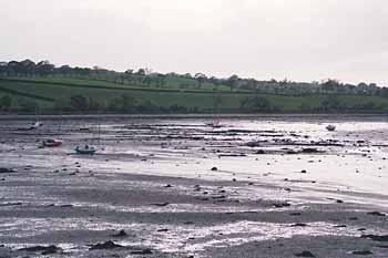 The bay at low tide