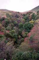 Looking up Gloom Hill