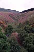 Lookup up the Gloom Hill