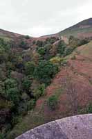 Into Dollar Glen from the castle parapet