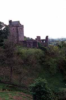 View from the bank of the glen