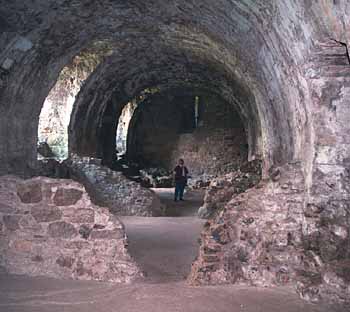 The size of the kitchen cellars