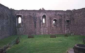 The rear curtain wall and small grounds