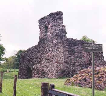 The remaining castle tower