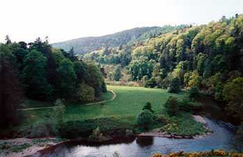 View from the tower over the River Tweed