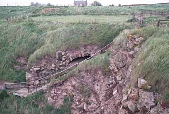 The vaulted cellars