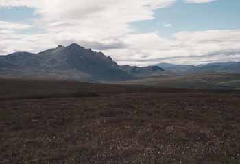 Highlands near Loch Loyal