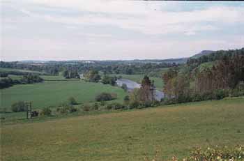 green fields near Scott's View