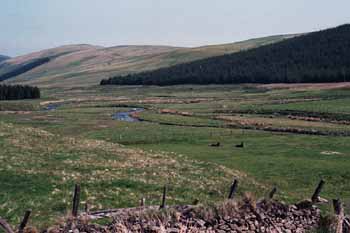 A very small Tweed River