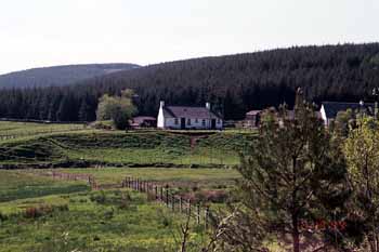 One of the farms in the Tweed Valley